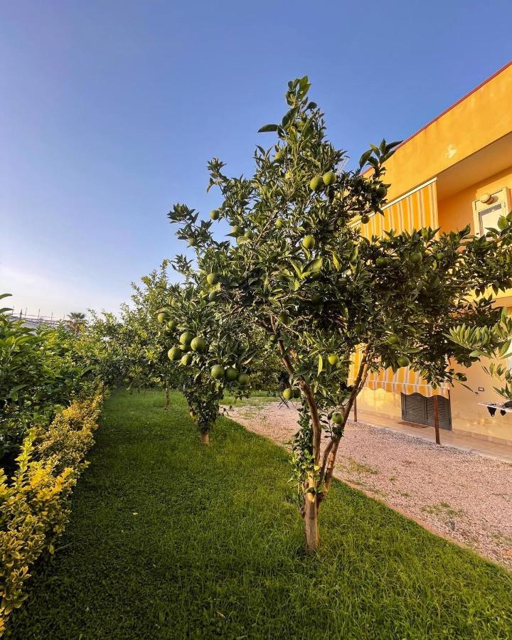 Casa Vacanze Paradise Santa Maria La Carità Dış mekan fotoğraf
