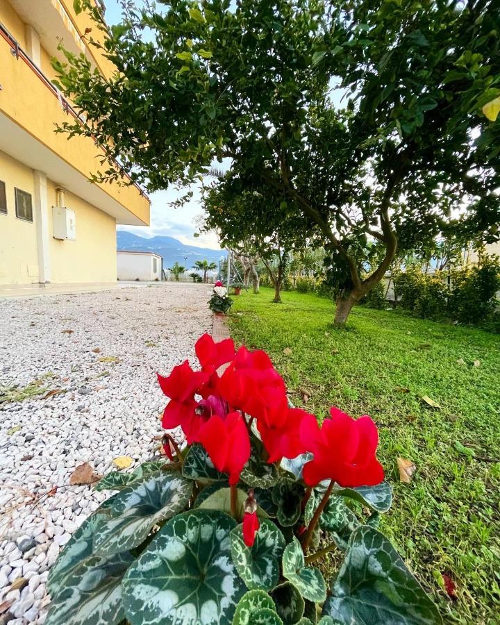 Casa Vacanze Paradise Santa Maria La Carità Dış mekan fotoğraf