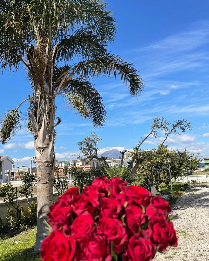 Casa Vacanze Paradise Santa Maria La Carità Dış mekan fotoğraf