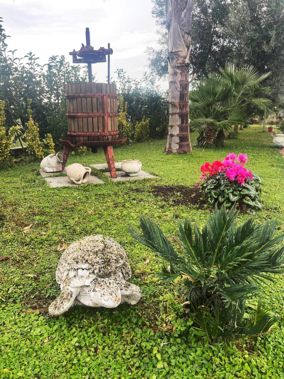 Casa Vacanze Paradise Santa Maria La Carità Dış mekan fotoğraf