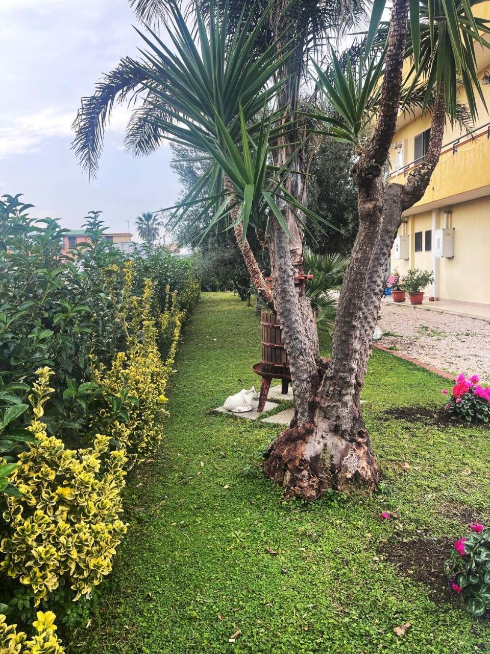 Casa Vacanze Paradise Santa Maria La Carità Dış mekan fotoğraf