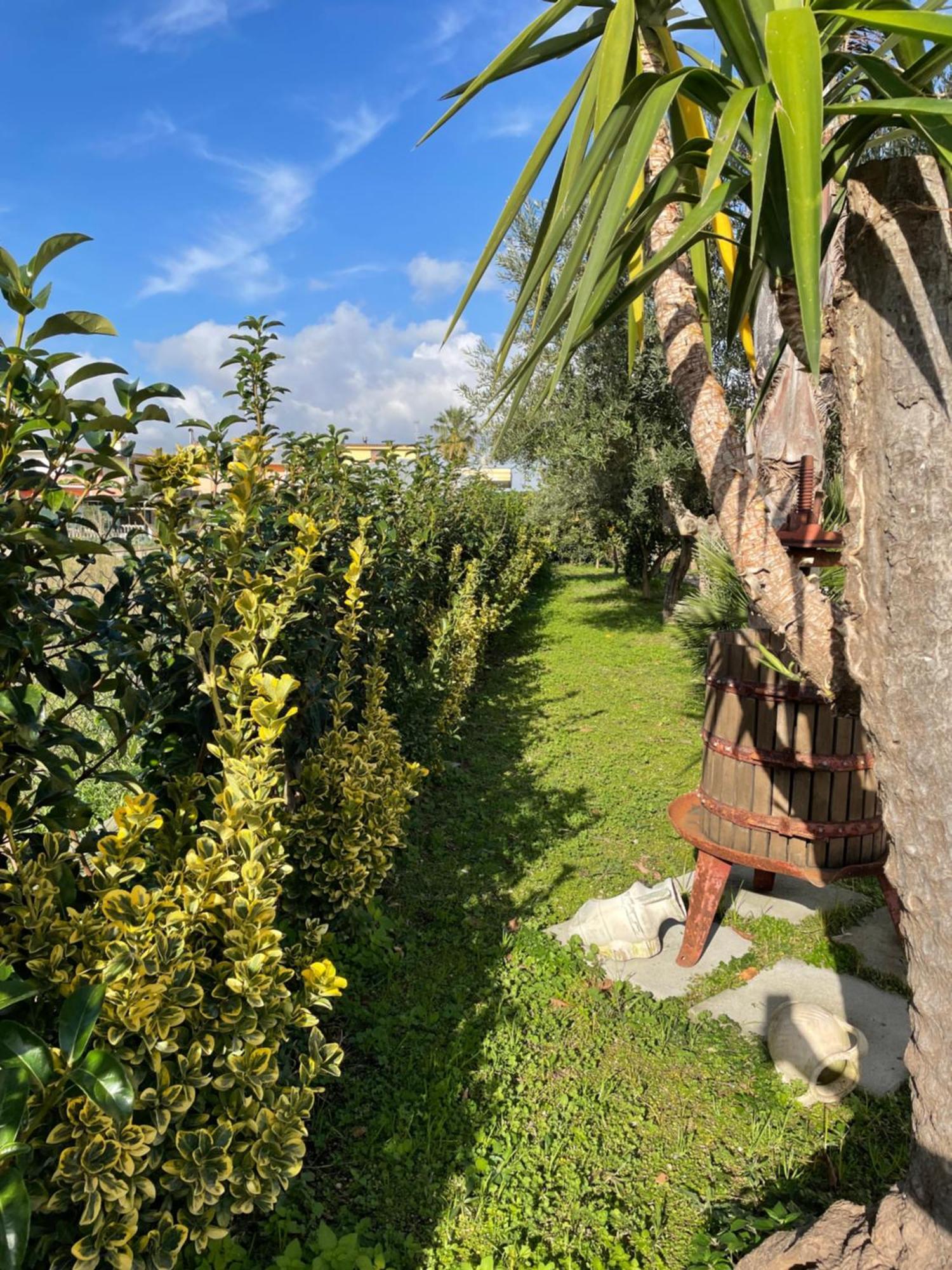Casa Vacanze Paradise Santa Maria La Carità Dış mekan fotoğraf