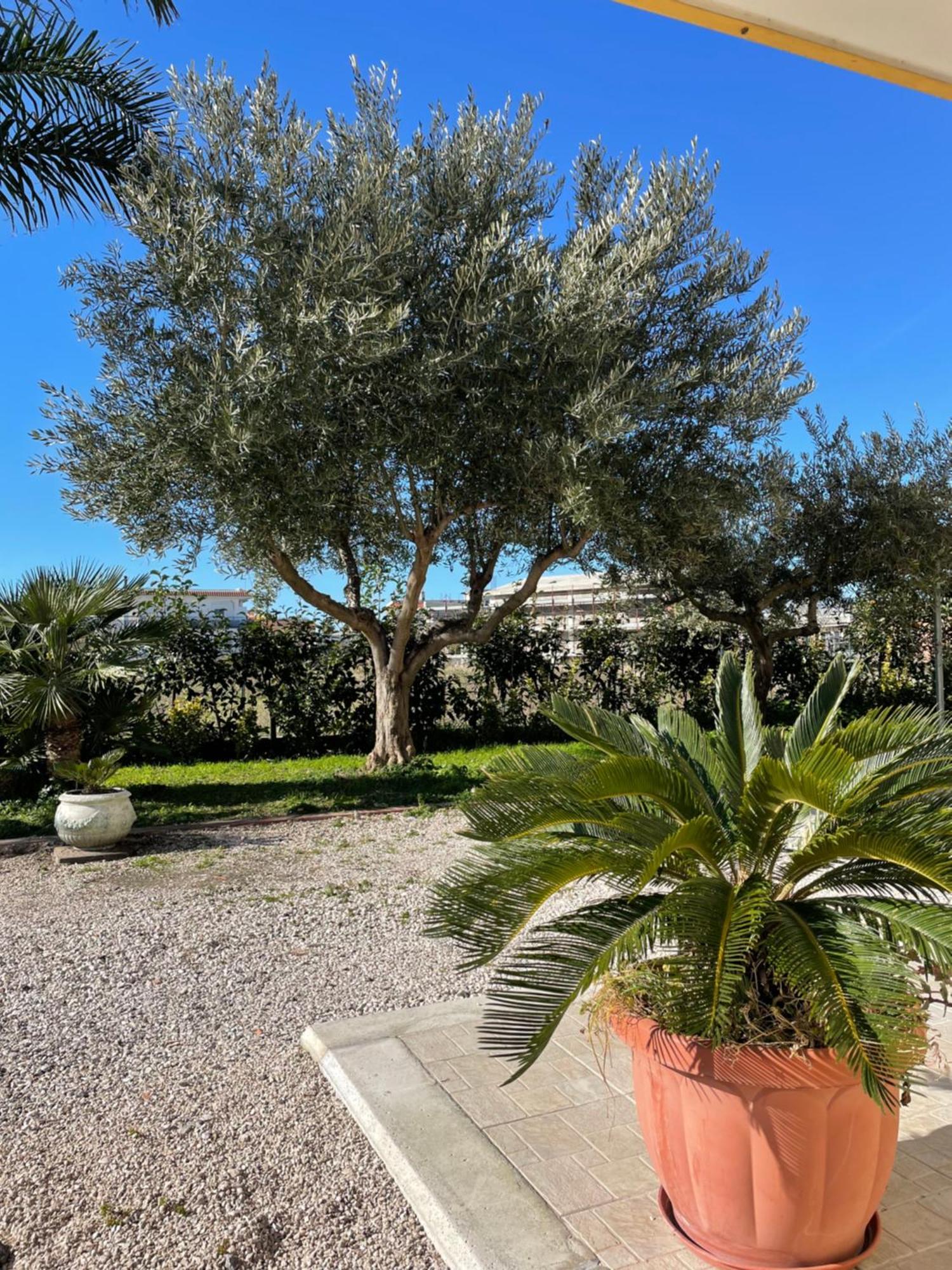 Casa Vacanze Paradise Santa Maria La Carità Dış mekan fotoğraf