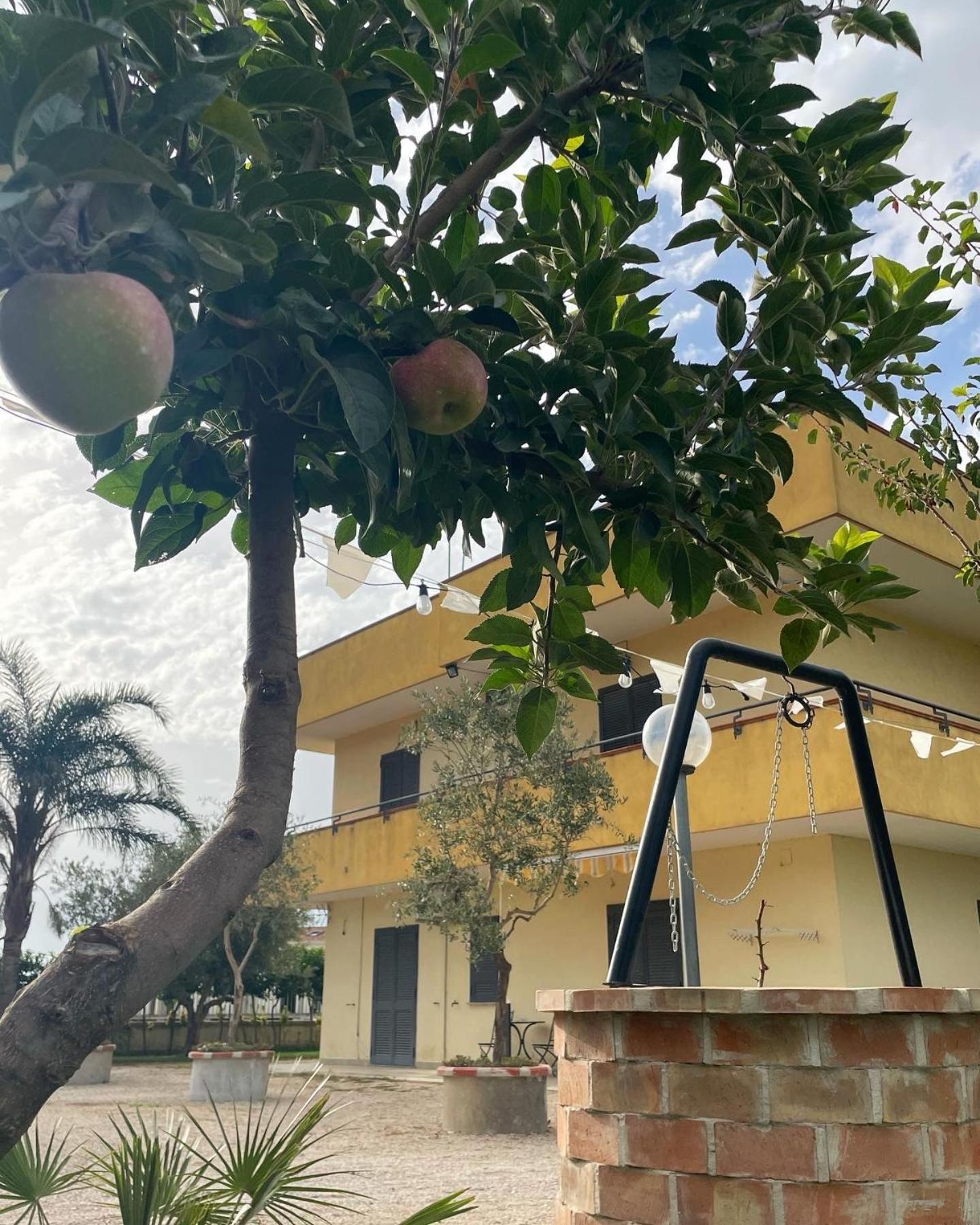 Casa Vacanze Paradise Santa Maria La Carità Dış mekan fotoğraf